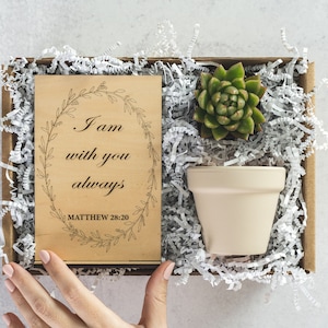 Pet Memorial Succulent Gift Box for Family, Loss of Pet Care Package for Friend, Thinking of You Sympathy Plant Gift