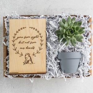 Condolence Sympathy Gift Box, Thinking of You Care Package, Grief Gift Box for Family, Thoughtful Memorial Plant Gift, Bereavement Gift