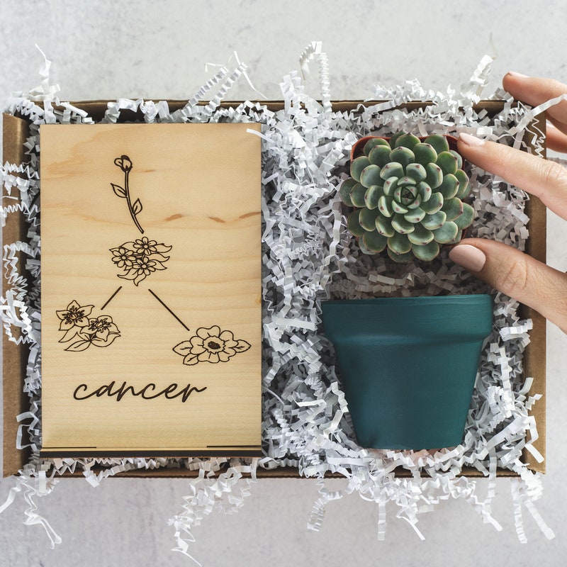 Cancer Gift Box - 60+ Gift Ideas for 2024