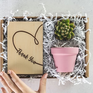 Thank You Teacher Gift, Hug in a Box Gift for Her, Teacher Appreciation Succulent Gift Box, Staff Appreciation Daycare Gifts