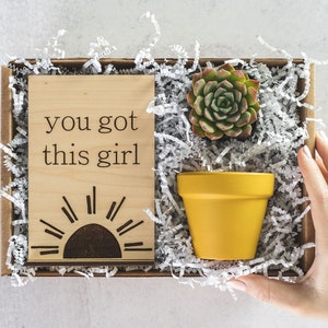 New Job Succulent Gift Box for Her, Congratulations Promotion Gift for Friend, Plant Mom Gift for Girlfriend, Thinking of You Gift for Women