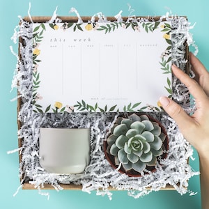 Floral Planner, Succulent Gift Box, Thank you Gift, Sympathy Gift, Birthday Gift, Care Package, Thinking of you, Gift for Mom, Gift Set