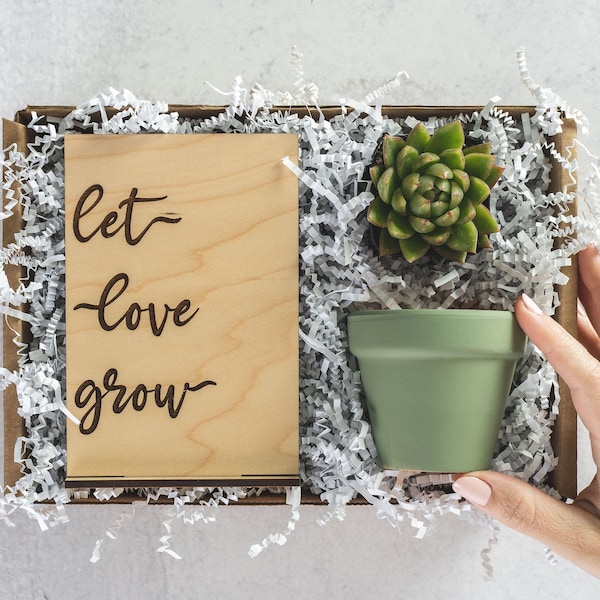 Let Love Grow Card Succulent Gift Set, Unique Wedding Gift for Bride And Groom, Anniversary Gift for Wife Engagement Gift Box for Couple