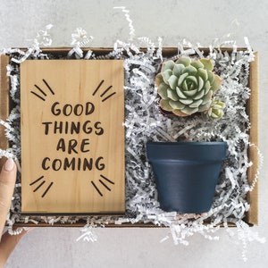 Thoughtful Gift for Coworker, Congratulations New Job Succulent Gift Box, Boss Babe Care Package for Her, Thinking of You Encouragement Gift
