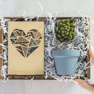 Thinking of You Care Package, In Loving Memory Sympathy Succulent Gift Box, Loss of Mother Grief Gift for Family, Sending Love Plant Gift