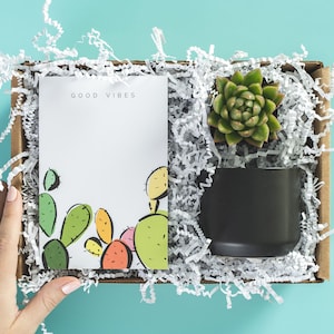 Teacher Notepad Gift Set for Mentor, Thank You Succulent Gift Box for Tutor, Teacher Appreciation Good Vibes Care Package