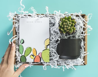 Good Vibes Cactus Notepad & Succulent Gift Set for Employee, Congrats New Job Gift for Her, Congratulations Gift Set for Promotion, Good