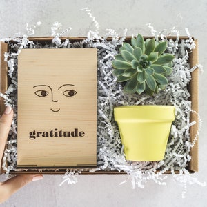 Thank You Gratitude Plant Gift, Grateful Gardening Succulent Gift Box, Thank You Care Package for Coworker, Plant Lover Holiday Gift Box