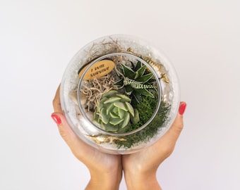 Happy Birthday Gift Box, Terrarium Kit Gift, Succulent Gift Box, Friend Gift Box, Personalized Gift Box Ideas, Care Package Gift for Mom