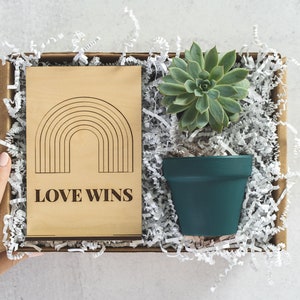 Pride Month Friendship Gift, LGBTQ Love Wins Succulent Gift Box, Gay Pride Rainbow Plant Gift, Lesbian Care Package for Best Friends