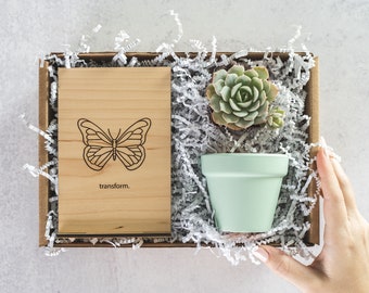 Retirement Plant Gifts for Women, Next Chapter Butterfly Gift, Encouragement Succulent Gift Box, New Journey Recovery Care Package