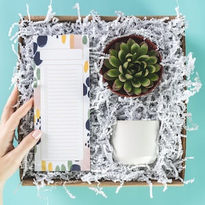 Congratulations New Job Gift Box, Welcome to the Team Gift for Coworker, Corporate Gift Box for New Team Member, New Hire Succulent Gift Box