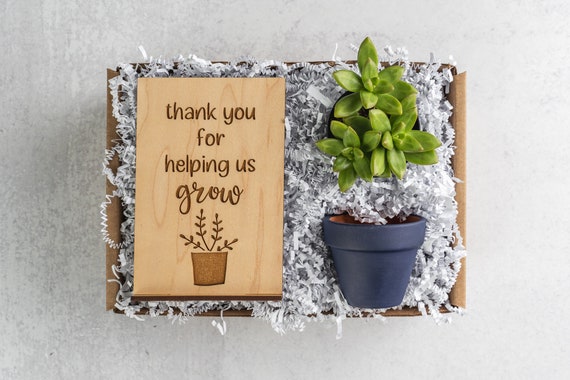 Thank you for Helping us Grow, Thank You Gift Succulent Box, Wood Card, Mentor Professor Teacher Appreciation Gift
