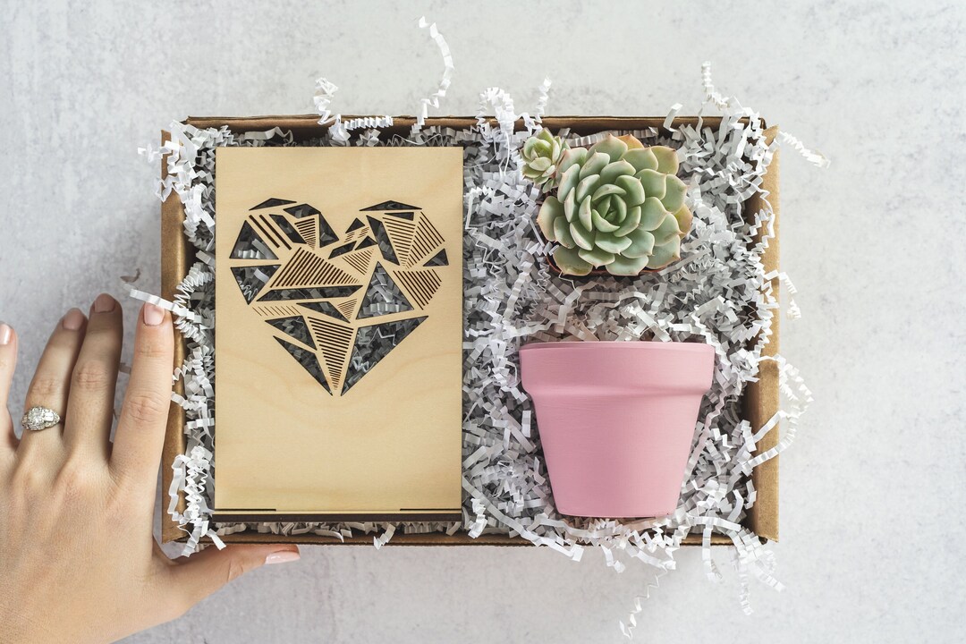 Engagement Gifts for Wedding Couple Succulent Plant Gift Box Etsy