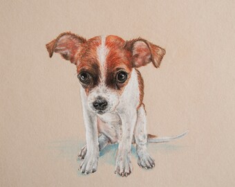 Tender puppy original pastel drawing. Pet portrait.