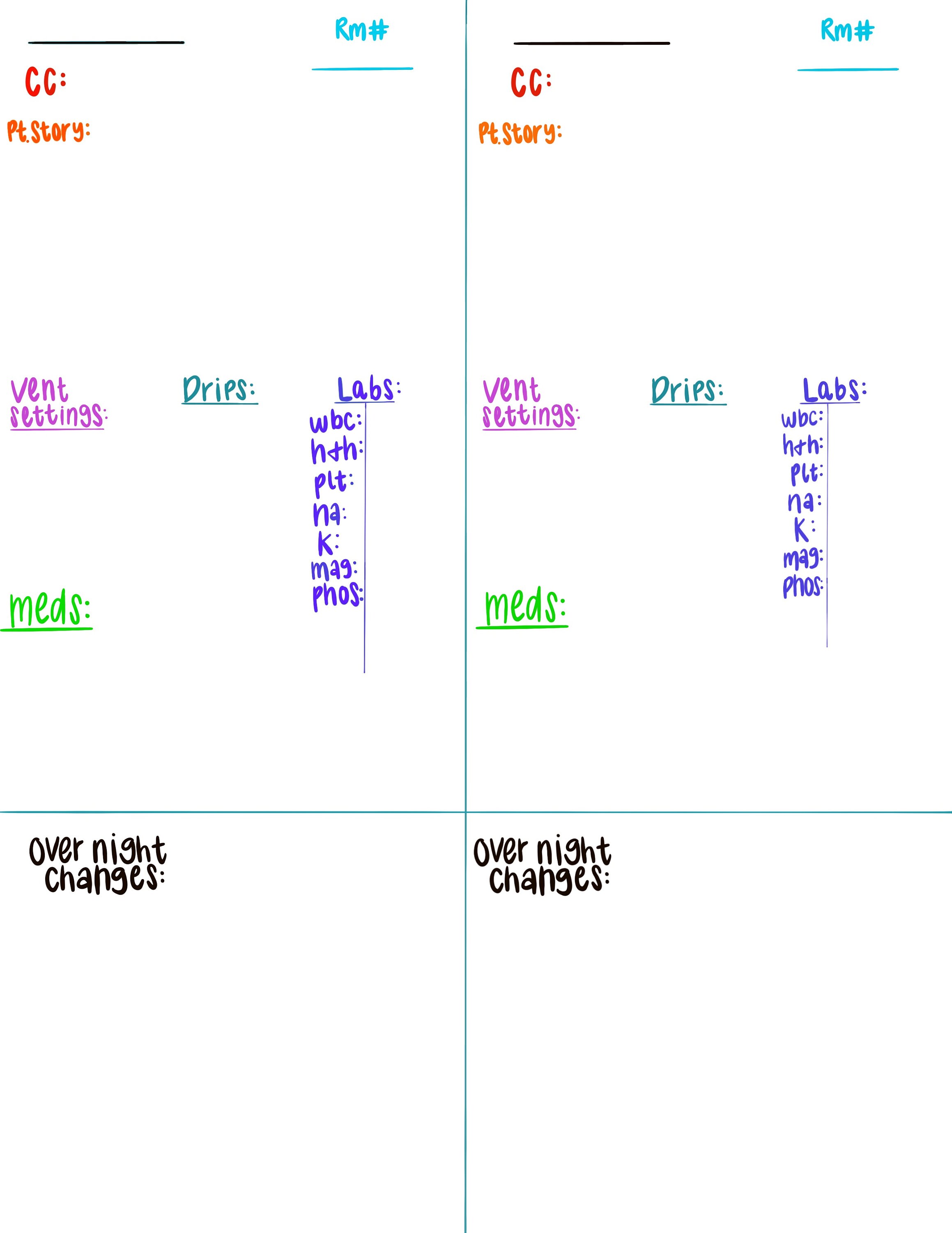 Simple 2 Patient ICU Rounds Sheet Color Coded Etsy