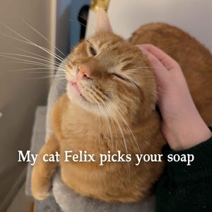 Mi gato Félix escoge tu jabón