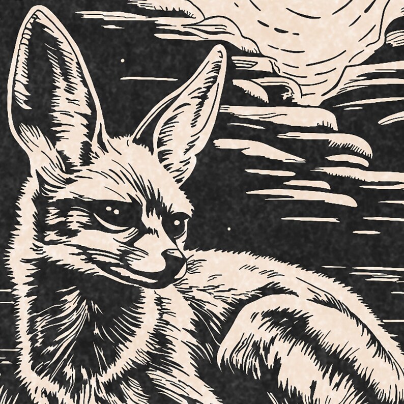May include: A black and white illustration of a fennec fox with large ears, sitting on a textured background.