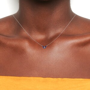 May include: A silver chain necklace with a small blue butterfly pendant.
