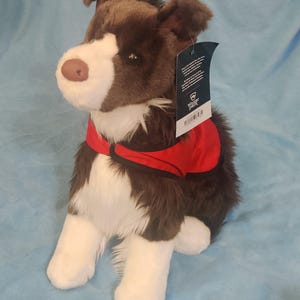 Collecte de sauce Douglas pour les collectionneurs internationaux (Lot 2 !)