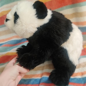 ESSA Plush: 12&quot; - Panda - Douglas