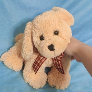 ESSA pluche: 10&quot; - Goldwyn - Ty Beanie Buddie Classic