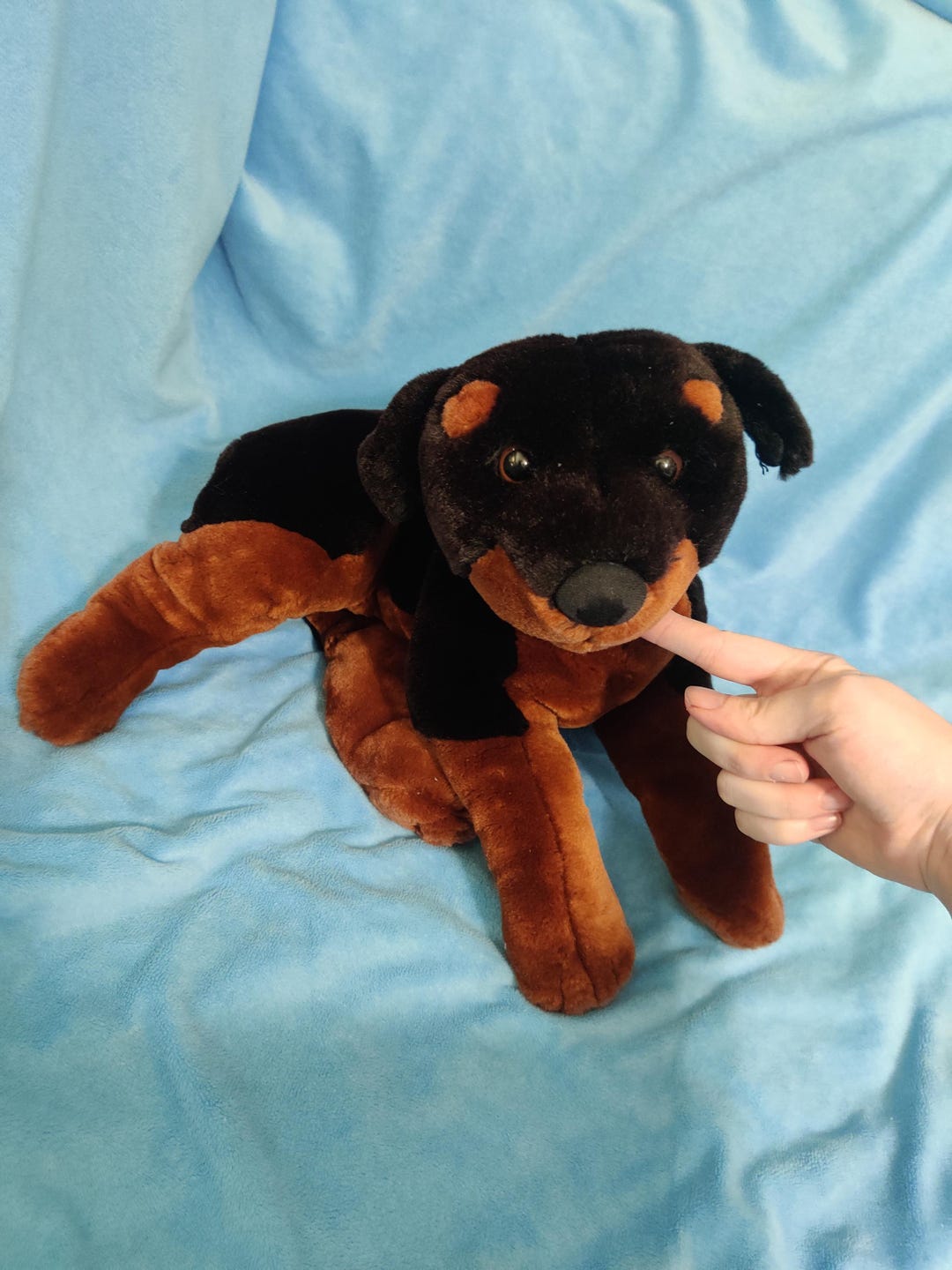 Essa Rottweiler ESSA Plush: 12