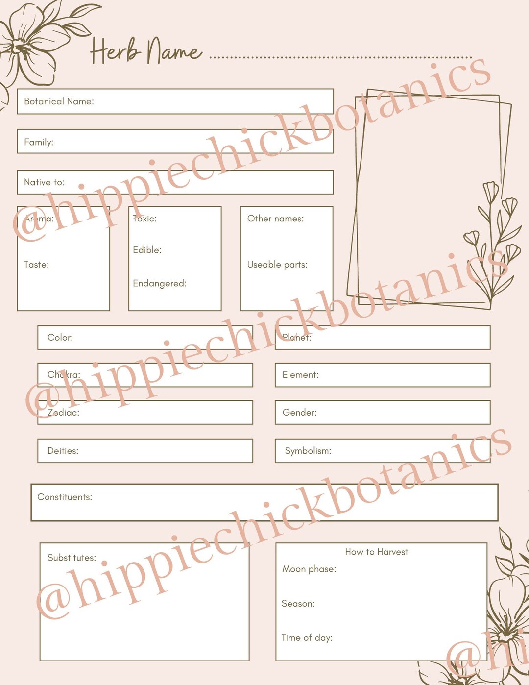 Materia Medica Plant Monograph Herbology Page Herbal Magic Materia Medica Plant Monograph Herbology Page Herbal Magic