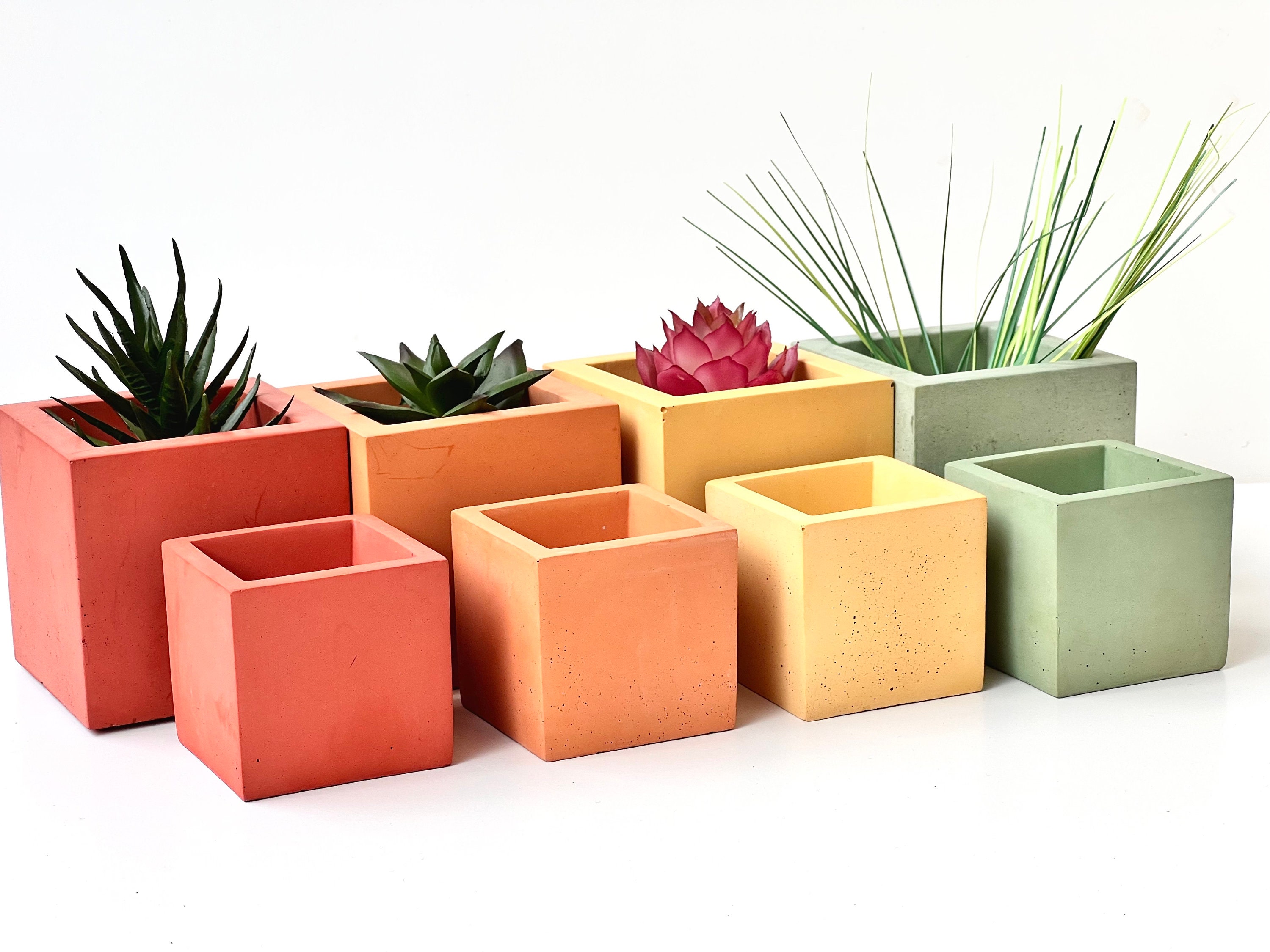 Concrete Color Plant Pots Color Concrete Planter Concrete Succulent Pot
