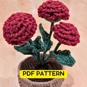 Patrón de ganchillo para flores de caléndula en maceta