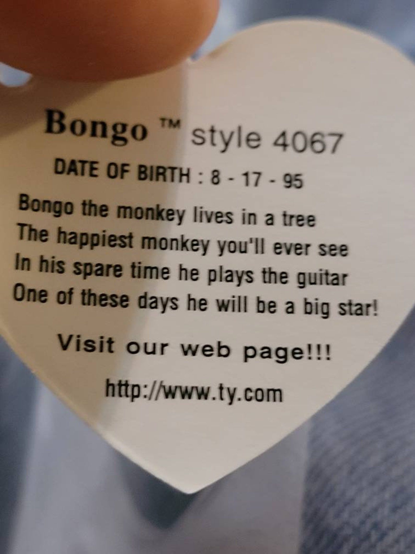 Rare Bongo Beanie Baby With Errors - Etsy