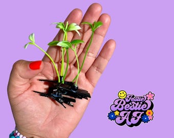 10 pack rave sprouts| Flower clips| PLUR| Sprout clips| Ravers| Cute clips| EDCO| Djs| EDCMX | Rave accessories| Plants vs Zombies