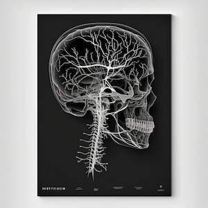 Minimalist Cranial Nerves Poster