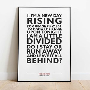 Foo Fighters My Hero Vinyl Record Song Lyric Print