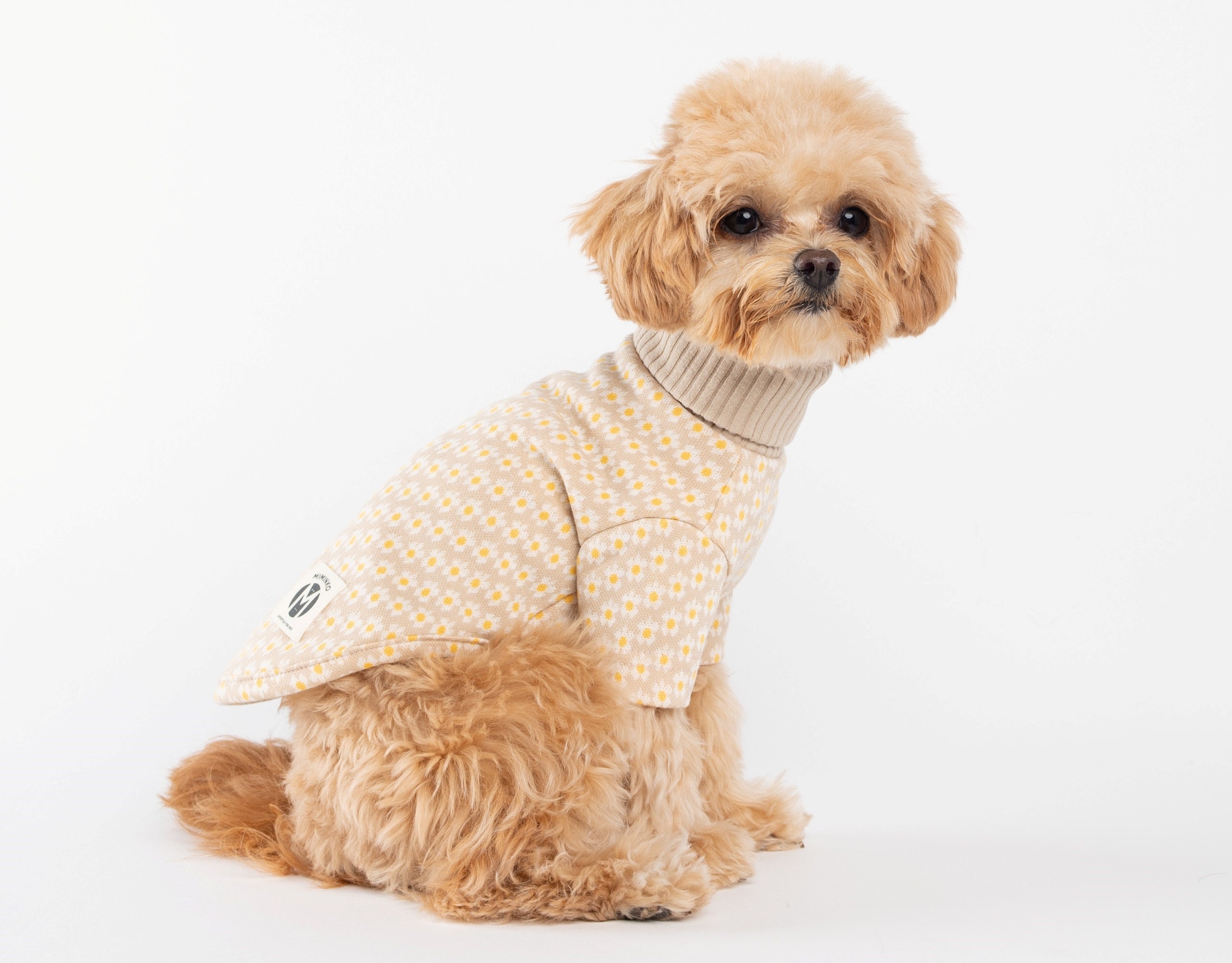 Chanel Dog Clothing - Etsy
