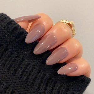 Walnut | Durable Nails | Essential Nails | Reusable Nails | Glue On The Nails | Salon Quality Nails | Ipz29