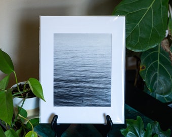 Rippled Contemplation