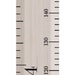 Measure Me! Roll-up Height Chart for Children - Retro Ruler - Etsy