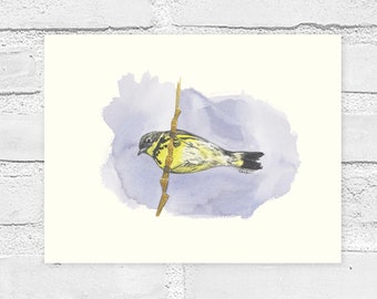 Prairie Warbler, Watercolor Print, Bird Watching Art Gift