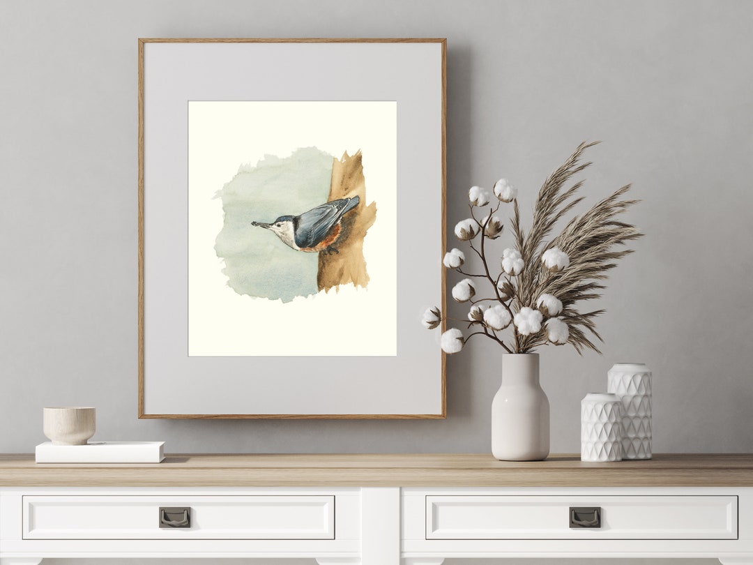 Whitebreasted Nuthatch Watercolor Print, Bird Watching Art Gift Etsy