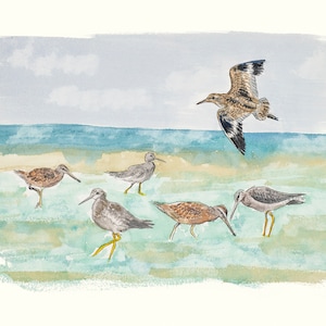 Shorebirds Watercolor Print, Bird Watching Art Gift