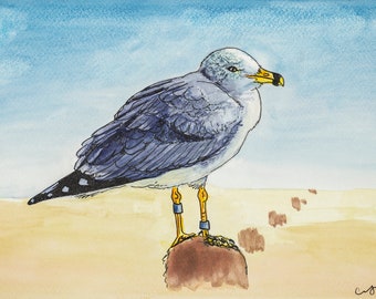 Seagull, Watercolor Print, Bird Watching Art Gift
