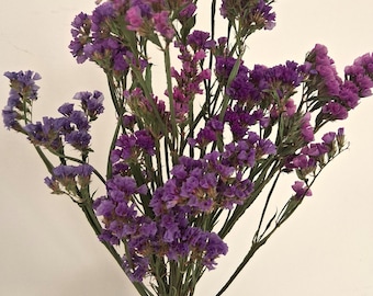 Dried Statice - Purple or Pink