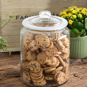 New extra large 6L glass biscotti jar for storage & display with airtight seal. ideal for biscuits, sweets, craft material etc