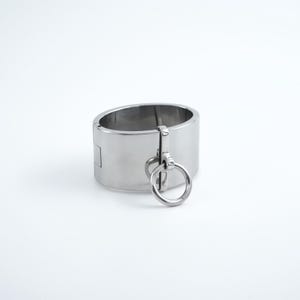 May include: A polished, stainless steel collar with a hinged closure and a small ring attached. The collar is cylindrical and has a smooth, reflective surface. The ring is circular and hangs from a rectangular clasp.