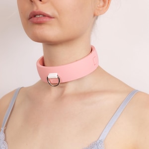 Quick-Collar snap lock with D-Ring