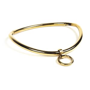 deSade® Locking BDSM Day Collar | Stainless Steel Submissive Collar | Ergonomic Hex Lock 8mm | Silver & Gold | 24/7