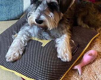 Coussin pour chien personnalisé fait maison en carré standard et grand avec fermeture à glissière. Comprend un coussin et des frais de port gratuits