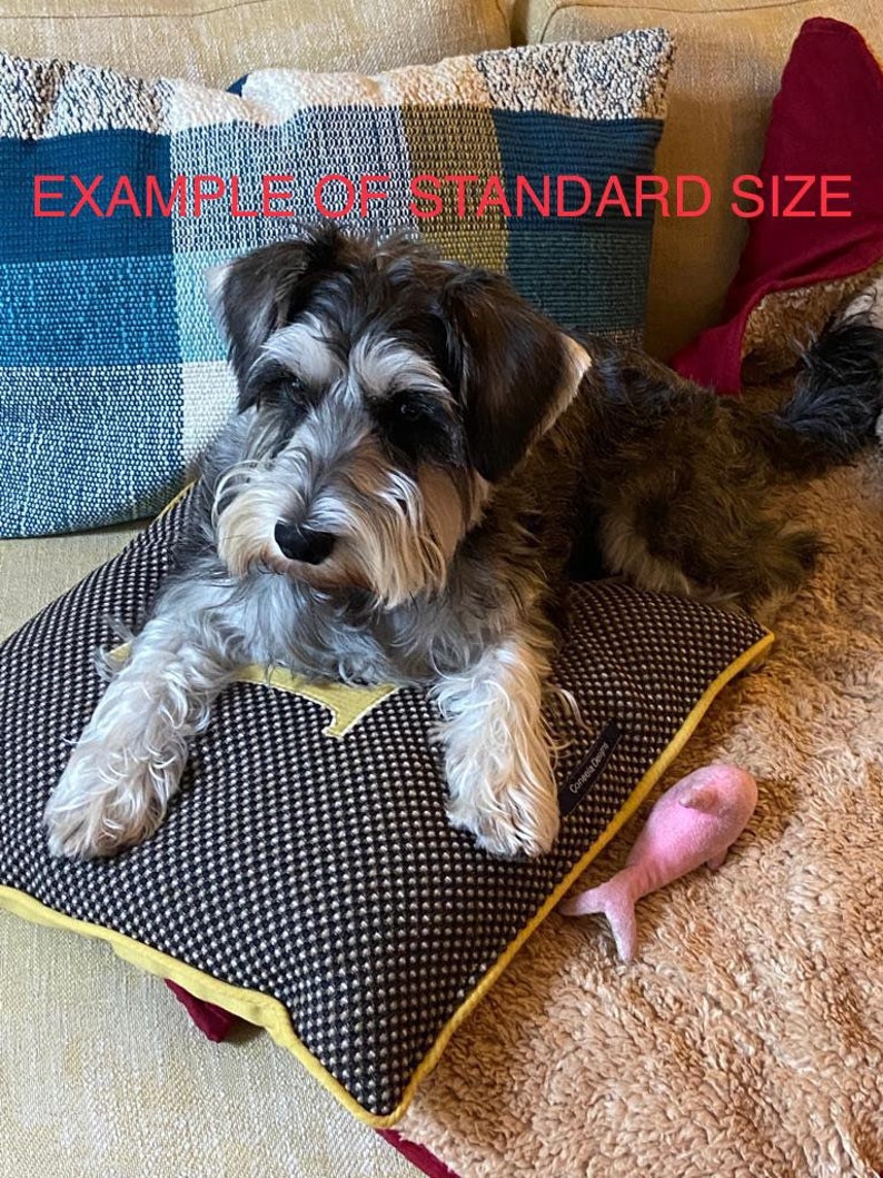 Puede incluir: Un perro peque&ntilde;o, gris y negro descansa sobre una cama para perros estampada con un borde amarillo. Un juguete rosa con forma de pez est&aacute; cerca. La cama tiene un patr&oacute;n de cuadros blancos y negros con un acento amarillo.