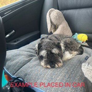 Puede incluir: Un perro Schnauzer gris y negro descansando sobre una cama para perros azul y gris dentro de un coche. Un conejito de peluche y un peque&ntilde;o juguete son visibles en el fondo. El texto "EXAMPLE PLACED IN CAR" es visible.